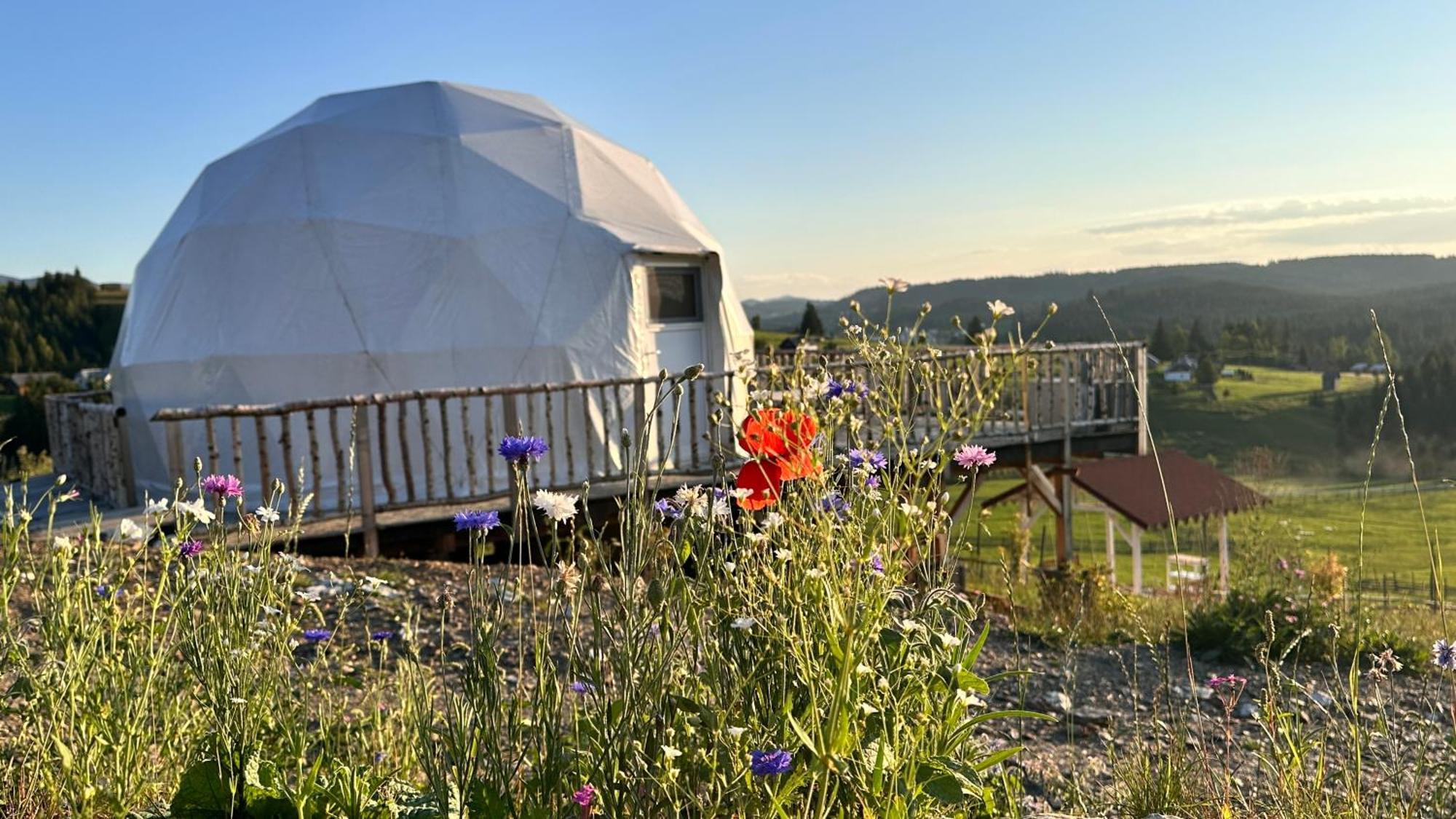 Dorna Iglu Luxury Glamping Resort Dorna Cindrenilor Exterior photo
